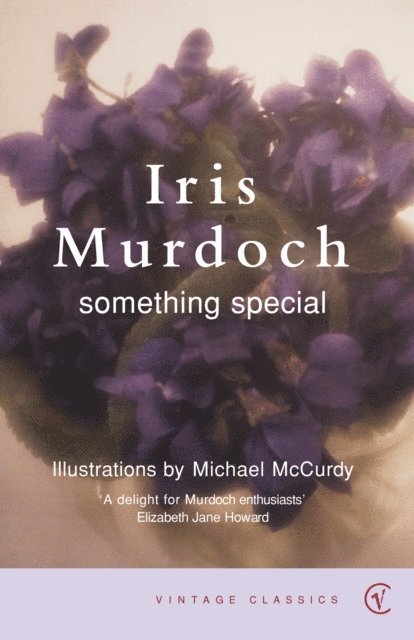Iris Murdoch - Something Special, E-bok