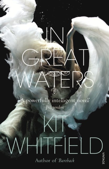 Kit Whitfield - In Great Waters, E-bok