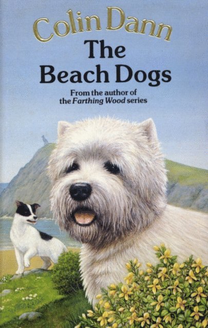 Colin Dann - Beach Dogs, E-bok