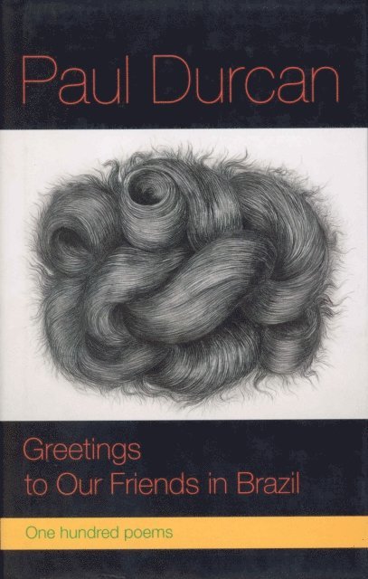 Paul Durcan - Greetings to Our Friends in Brazil, E-bok