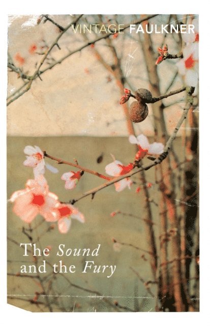 William Faulkner - Sound and the Fury, E-bok