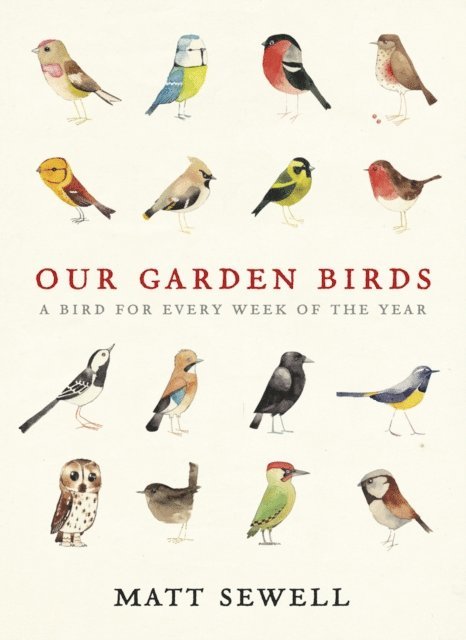 Matt Sewell - Our Garden Birds, E-bok
