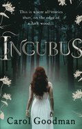 Incubus