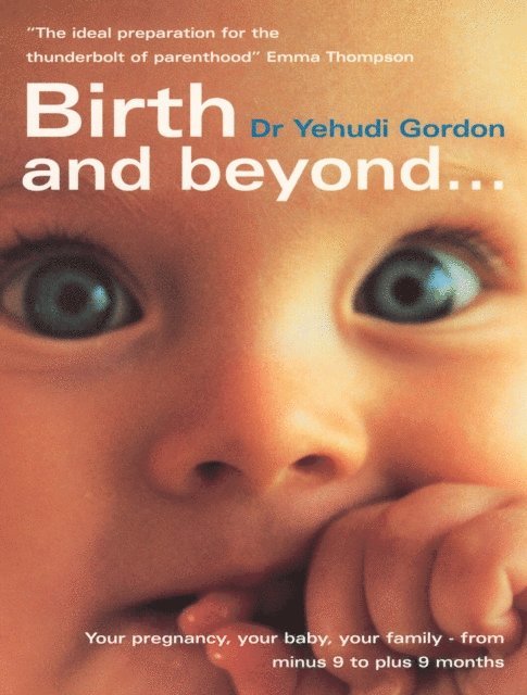 Yehudi Gordon - Birth And Beyond, E-bok