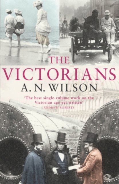 A.N. Wilson - Victorians, E-bok