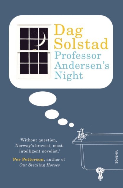 Dag Solstad - Professor Andersen's Night, E-bok