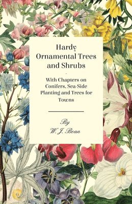 W. J. Bean - Hardy Ornamental Trees and Shrubs - With Chapters on Conifers, Sea-side Planting and Trees for Towns, Häftad
