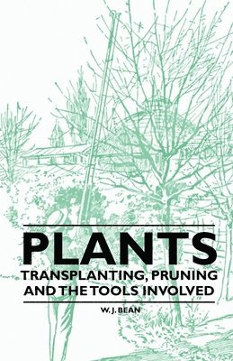 W. J. Bean - Plants - Transplanting, Pruning and the Tools Involved, Häftad