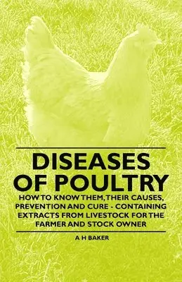 A H Baker - Diseases of Poultry - How to Know Them, Their Causes, Prevention and Cure - Containing Extracts from Livestock for the Farmer and Stock Owner, Häftad. Tillgänglighet: Lägg i varukorg