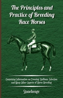 Stonehenge - Principles and Practice of Breeding Race Horses - Containing Information on Crossing, Stallions, Selection and Many Other Aspects of Horse Breeding, Häftad