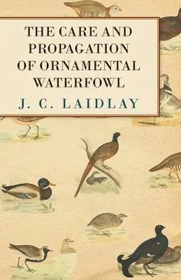 J. C. Laidlay - Care and Propagation of Ornamental Waterfowl, Häftad. Tillgänglighet: Lägg i varukorg