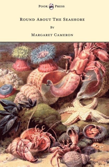 Margaret Cameron - Round about the Seashore - With Eight Coloured Pictures, E-bok