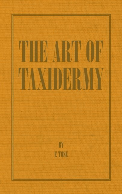 Art of Taxidermy