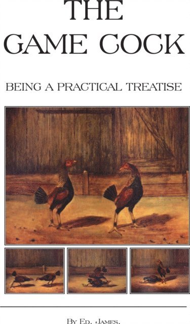 Ed James - Game Cock - Being a Practical Treatise on Breeding, Rearing, Training, Feeding, Trimming, Mains, Heeling, Spurs, Etc. (History of Cockfighting Ser, E-bok