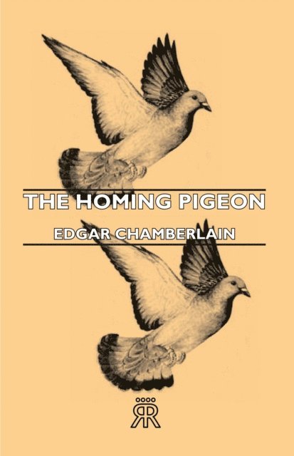 Homing Pigeon