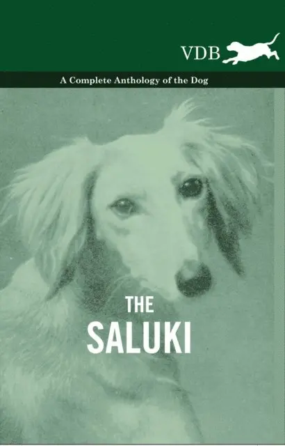 Saluki - A Complete Anthology of the Dog