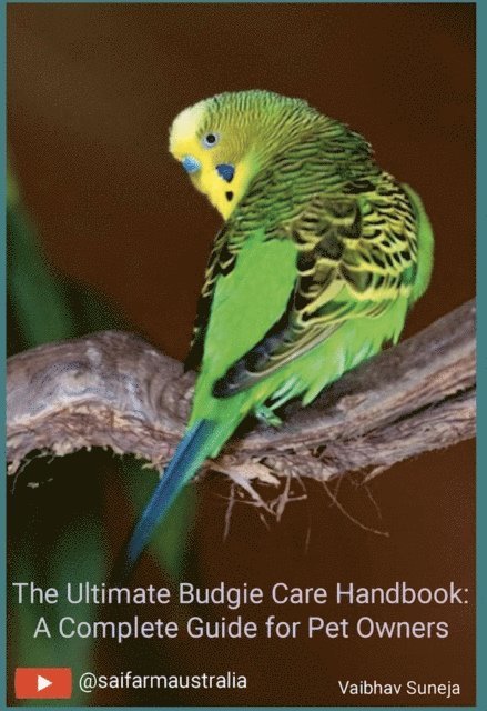 Ultimate Budgie Care Handbook: A Complete Guide for Pet Owners
