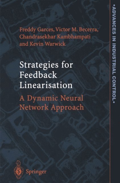 Kevin Warwick, Chandrasekhar Kambhampati, Victor Manuel Becerra, Freddy Rafael Garces - Strategies for Feedback Linearisation, E-bok