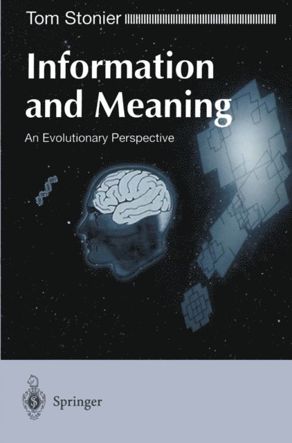 Tom Stonier - Information and Meaning, E-bok
