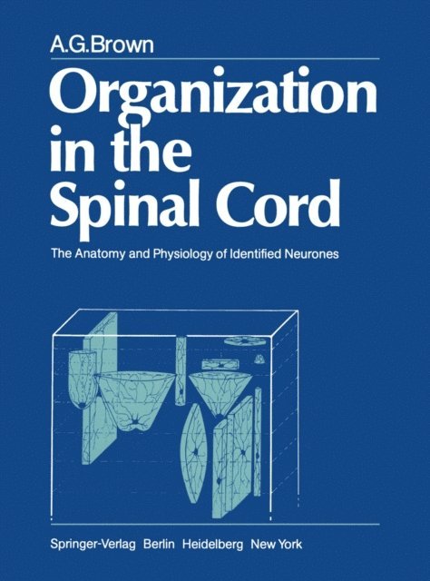 A. G. Brown - Organization in the Spinal Cord, E-bok