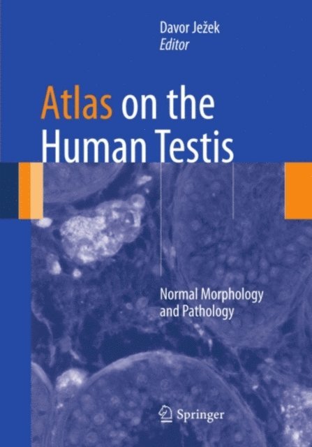 Davor Jezek - Atlas on the Human Testis, E-bok. Tillgänglighet: Lägg i varukorg