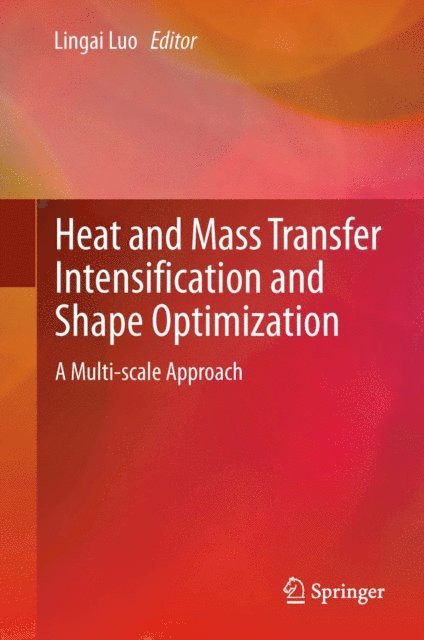 Lingai Luo - Heat and Mass Transfer Intensification and Shape Optimization, E-bok