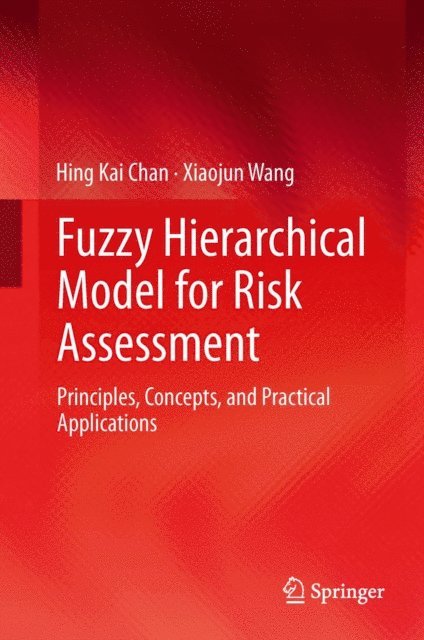 Xiaojun Wang, Hing Kai Chan - Fuzzy Hierarchical Model for Risk Assessment, E-bok