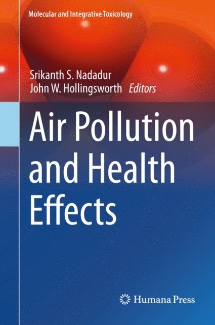 John W. Hollingsworth, Srikanth S. Nadadur - Air Pollution and Health Effects, E-bok