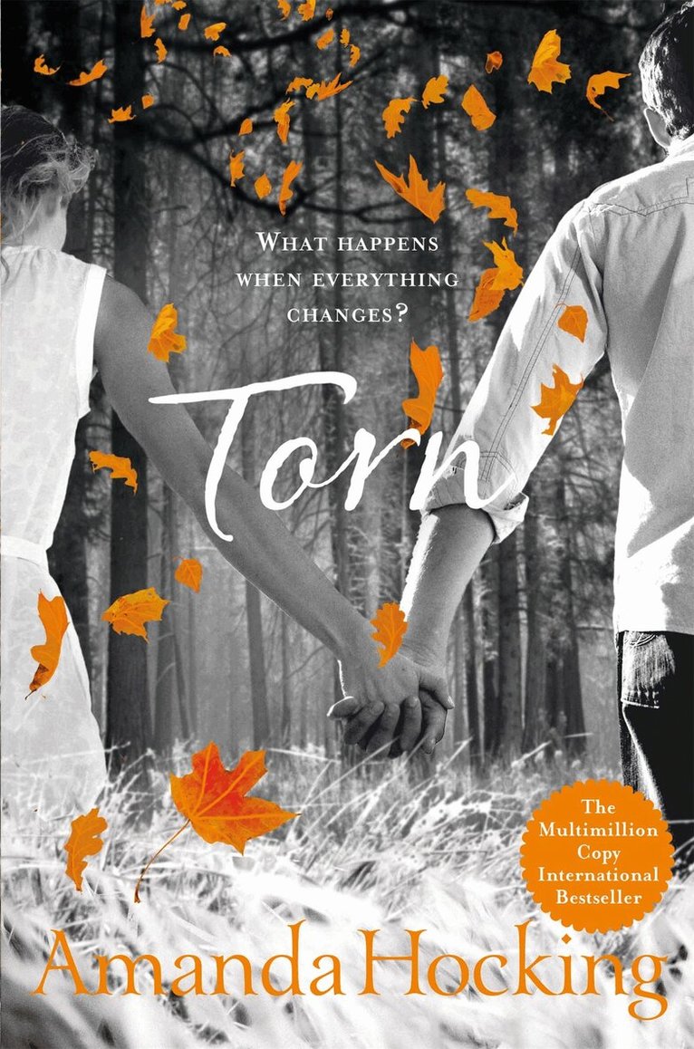 Amanda Hocking - Torn, E-bok