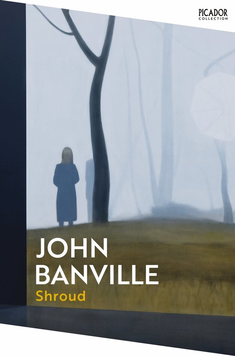 John Banville - Shroud, E-bok