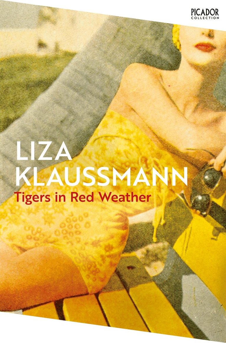 Liza Klaussmann - Tigers in Red Weather, E-bok
