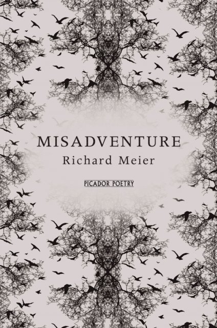 Richard Meier - Misadventure, E-bok
