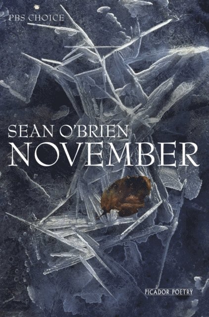 Sean O'Brien - November, E-bok
