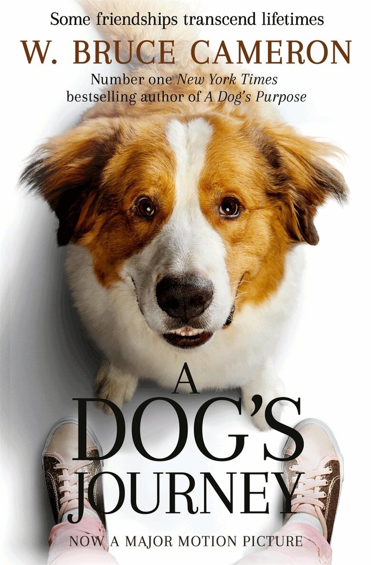 W. Bruce Cameron - Dog's Journey, E-bok