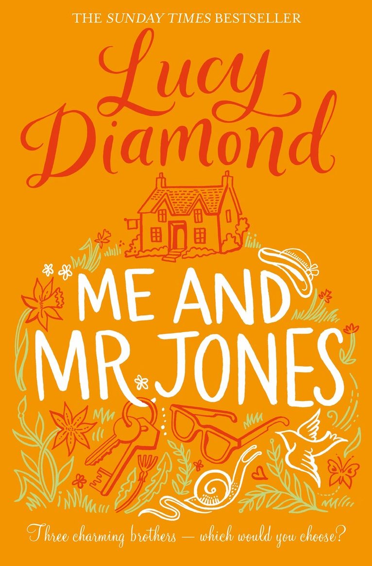 Lucy Diamond - Me and Mr Jones, E-bok