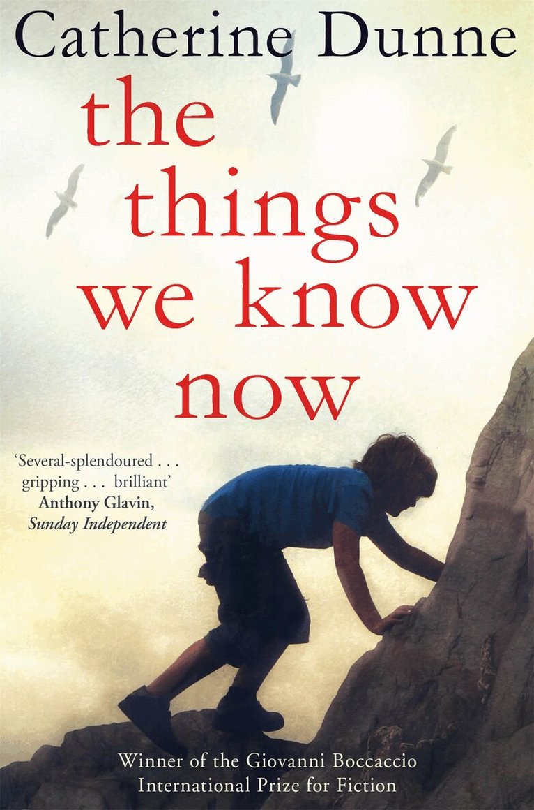 Catherine Dunne - Things We Know Now, E-bok
