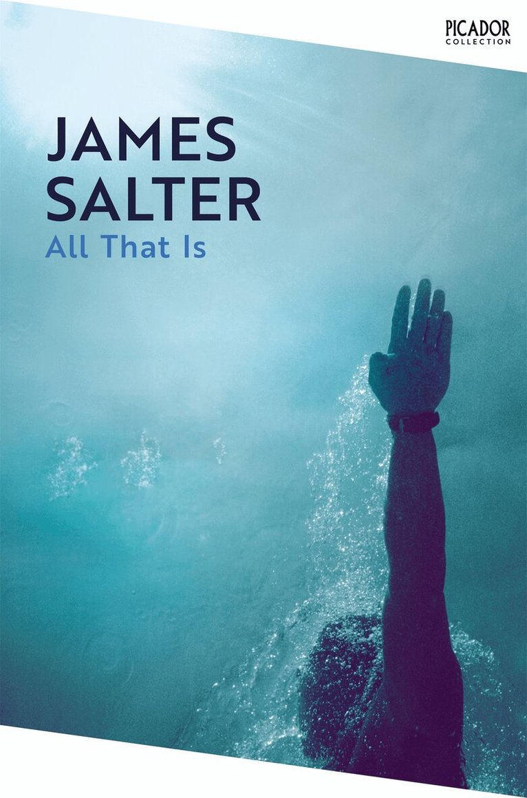James Salter - All That Is, E-bok