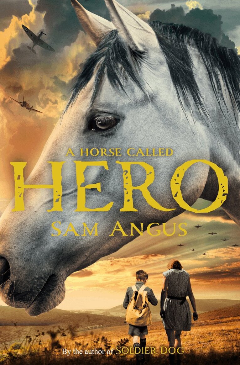 Sam Angus - Horse Called Hero, E-bok. Tillgänglighet: Lägg i varukorg