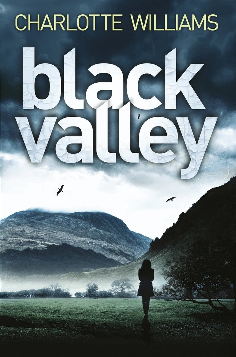 Charlotte Williams - Black Valley, E-bok
