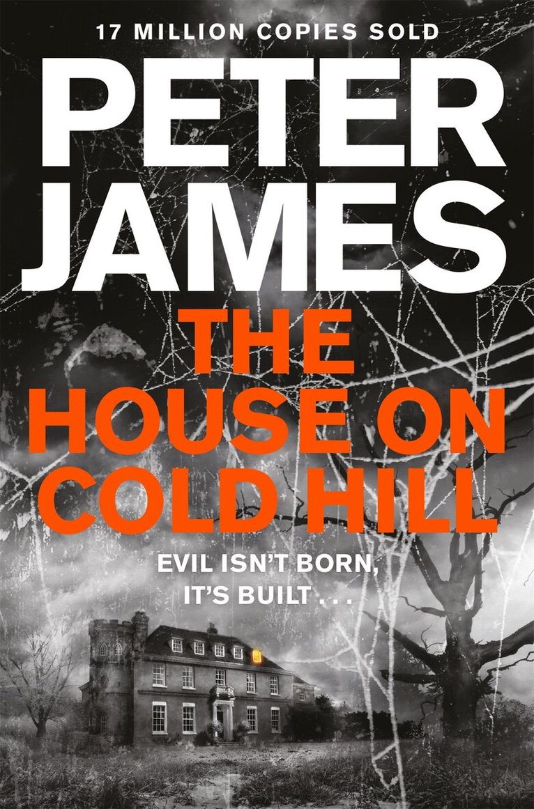 Peter James - House on Cold Hill, Häftad