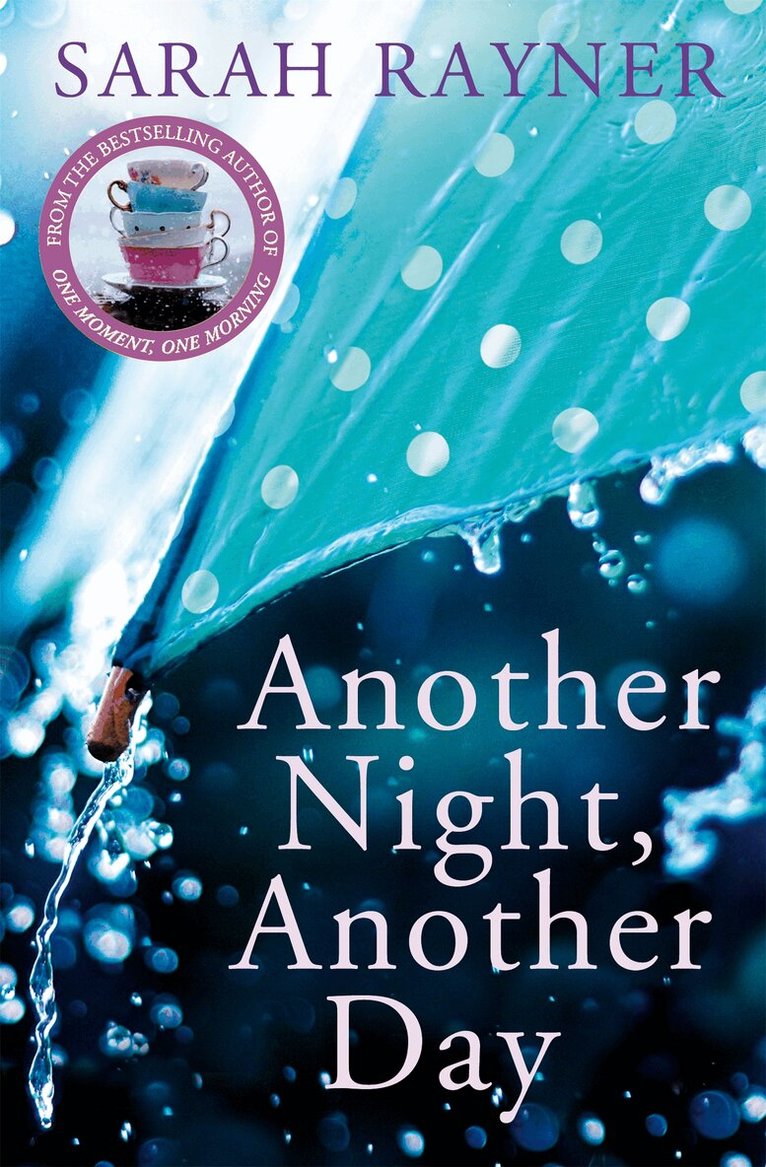 Sarah Rayner - Another Night, Another Day, E-bok