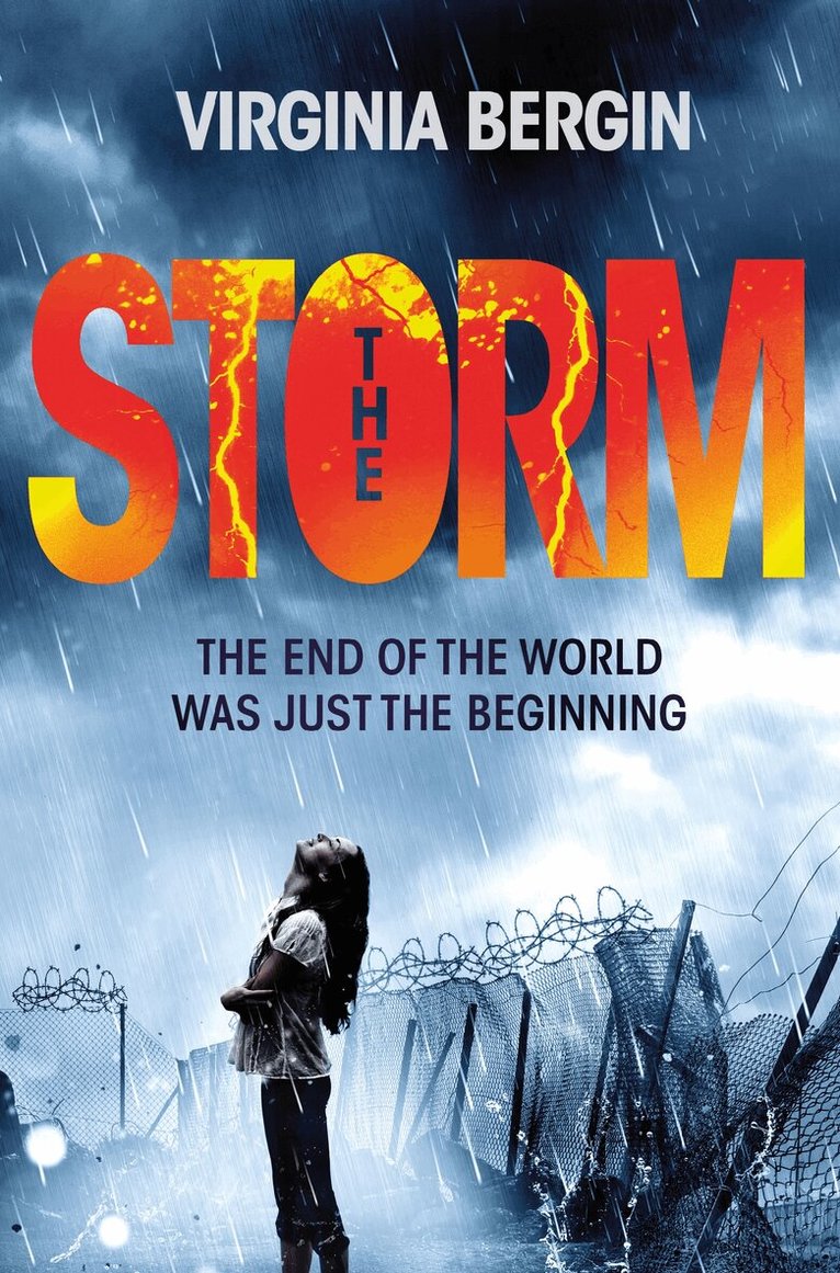 Virginia Bergin - Storm, E-bok