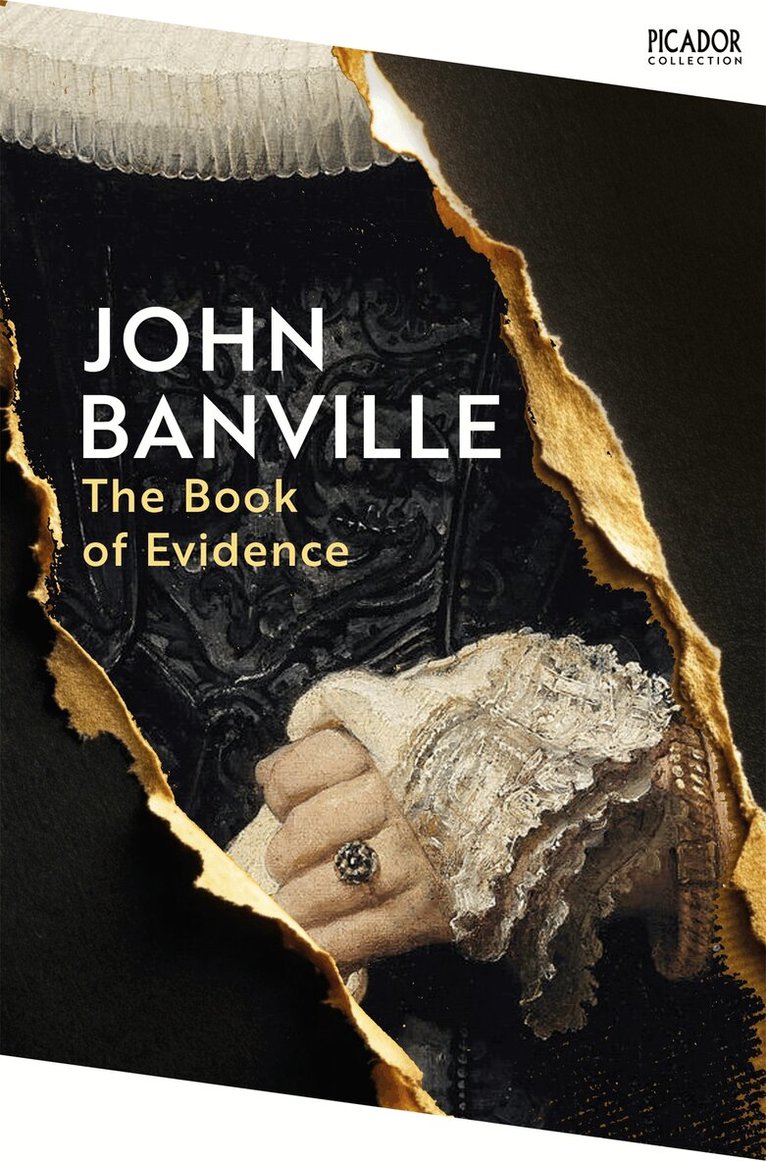 John Banville - Book of Evidence, E-bok