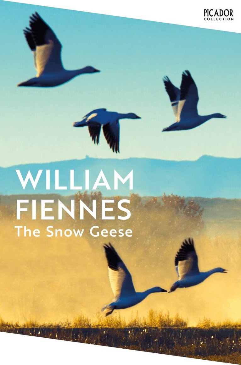 William Fiennes - Snow Geese, E-bok