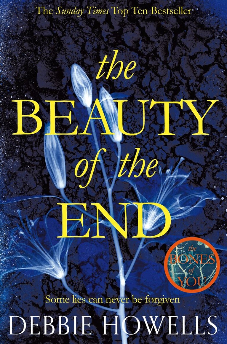 Debbie Howells - Beauty of the End, E-bok