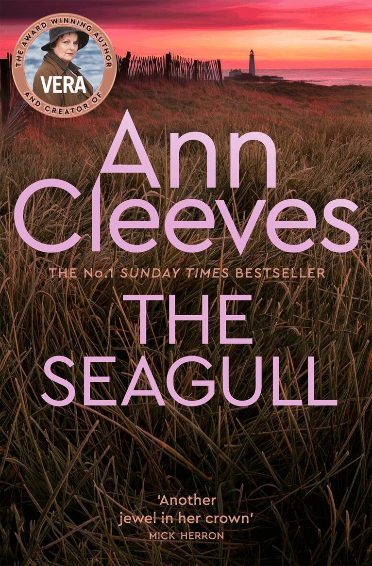 Ann Cleeves - Seagull, E-bok