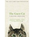 Guest Cat
