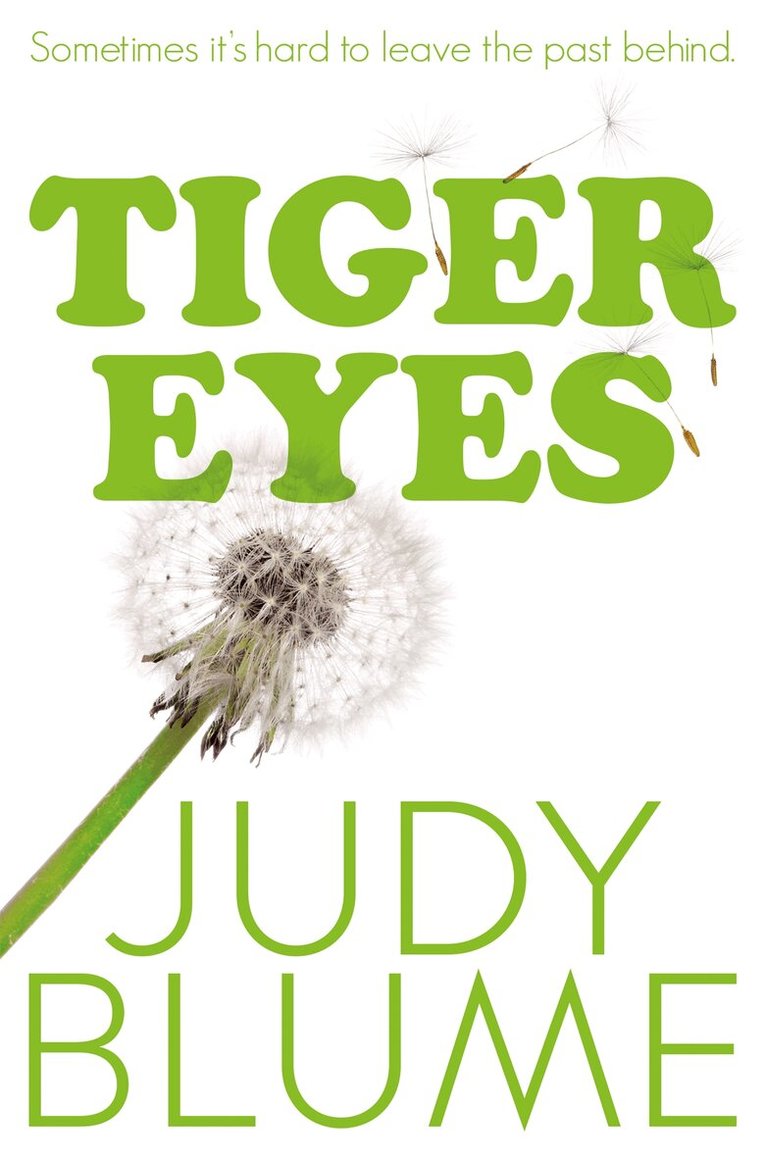 Judy Blume - Tiger Eyes, E-bok