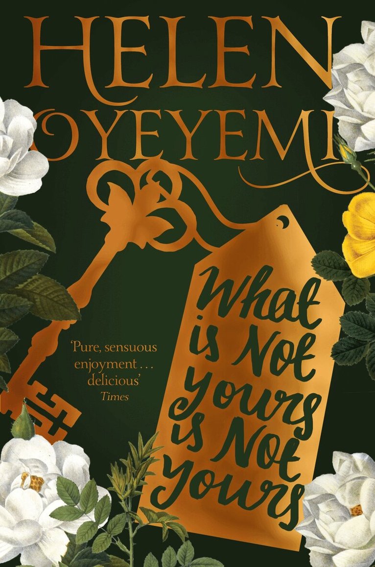 Helen Oyeyemi - What Is Not Yours Is Not Yours, E-bok
