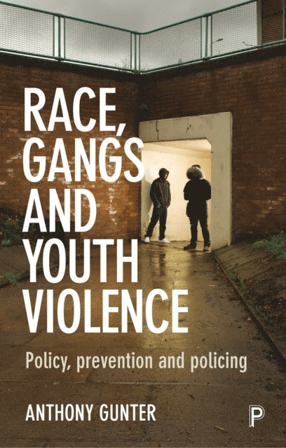 Anthony Gunter - Race, Gangs and Youth Violence, E-bok